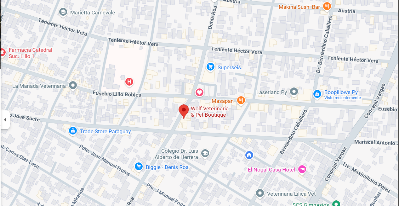 Mapa de ubicación de Wolf Veterinaria & Pet Boutique sobre Denis Roa en Asunción